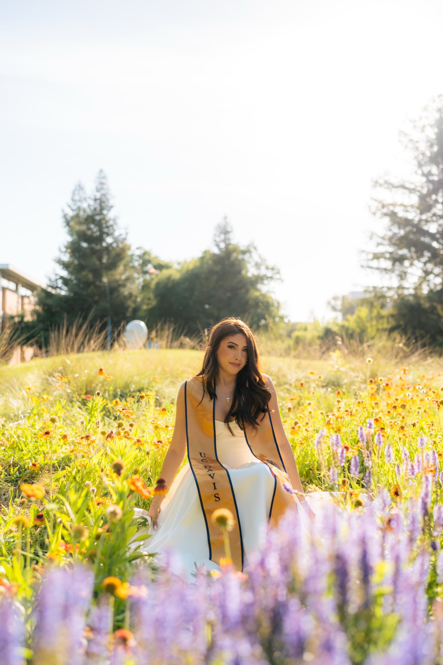 A graduate in a white dress and gold UC Davis stole sits in a meadow of orange and purple wildflowers, backlit by low sun with trees and a campus building behind her.