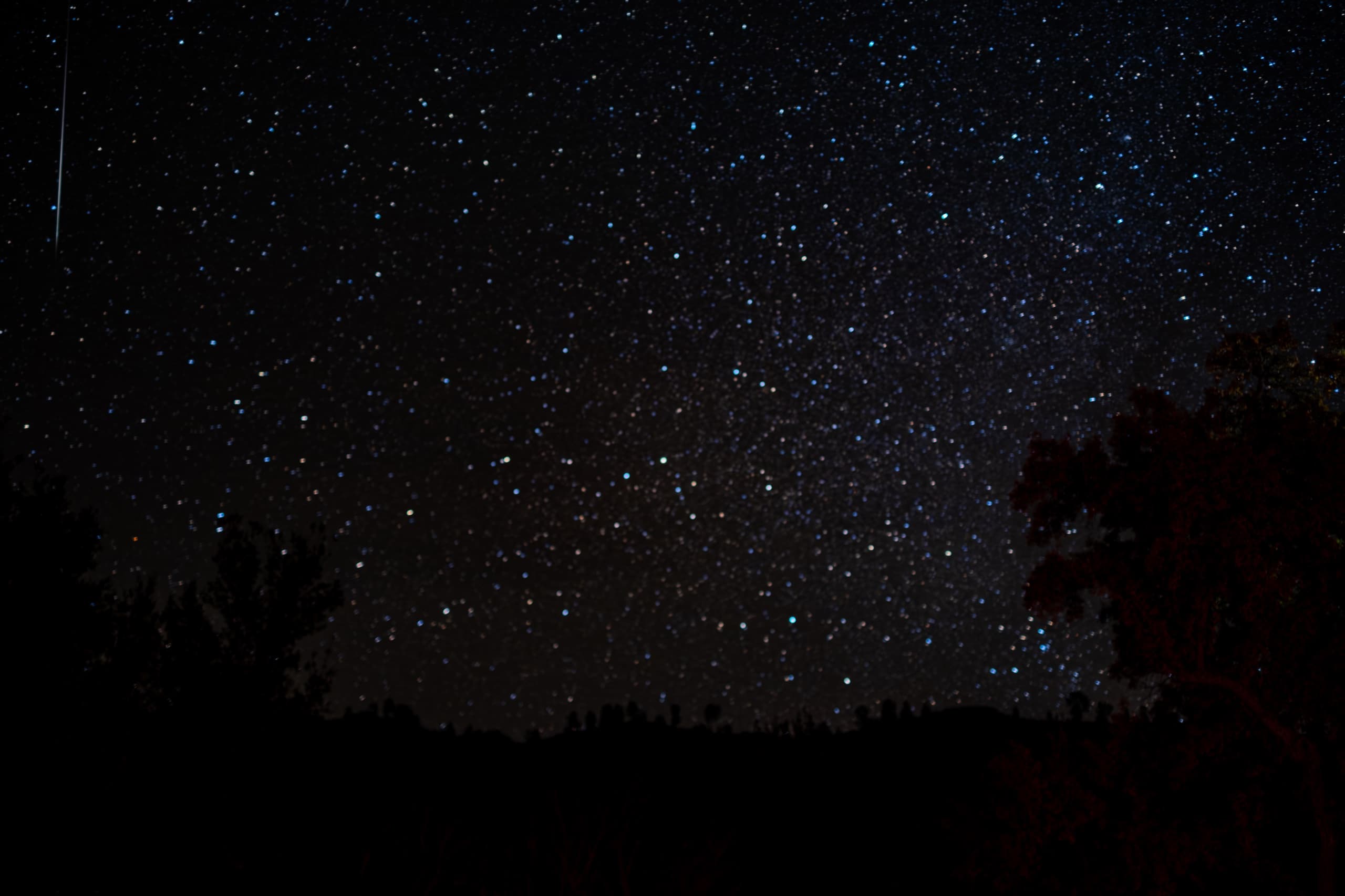 Stars framed by the silhouettes of oaks, with a meteor dropping into the upper corner and a faint warm glow along the horizon.