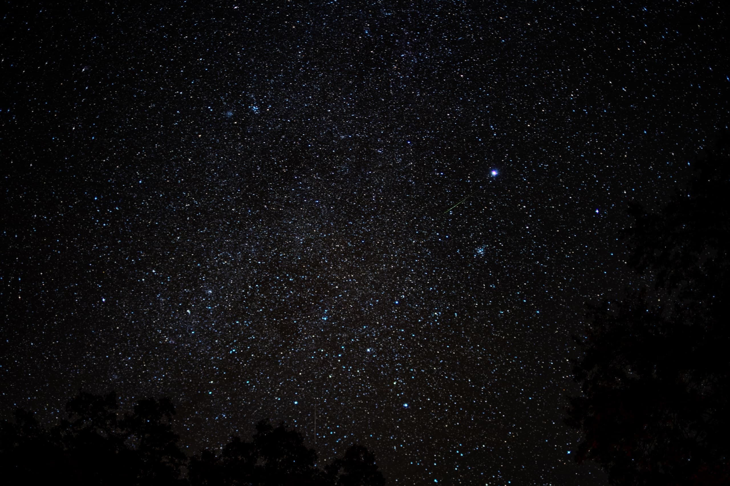 The densest sky of the night: thousands of stars over silhouetted oaks, one brilliant point of light and a small green meteor beside it.
