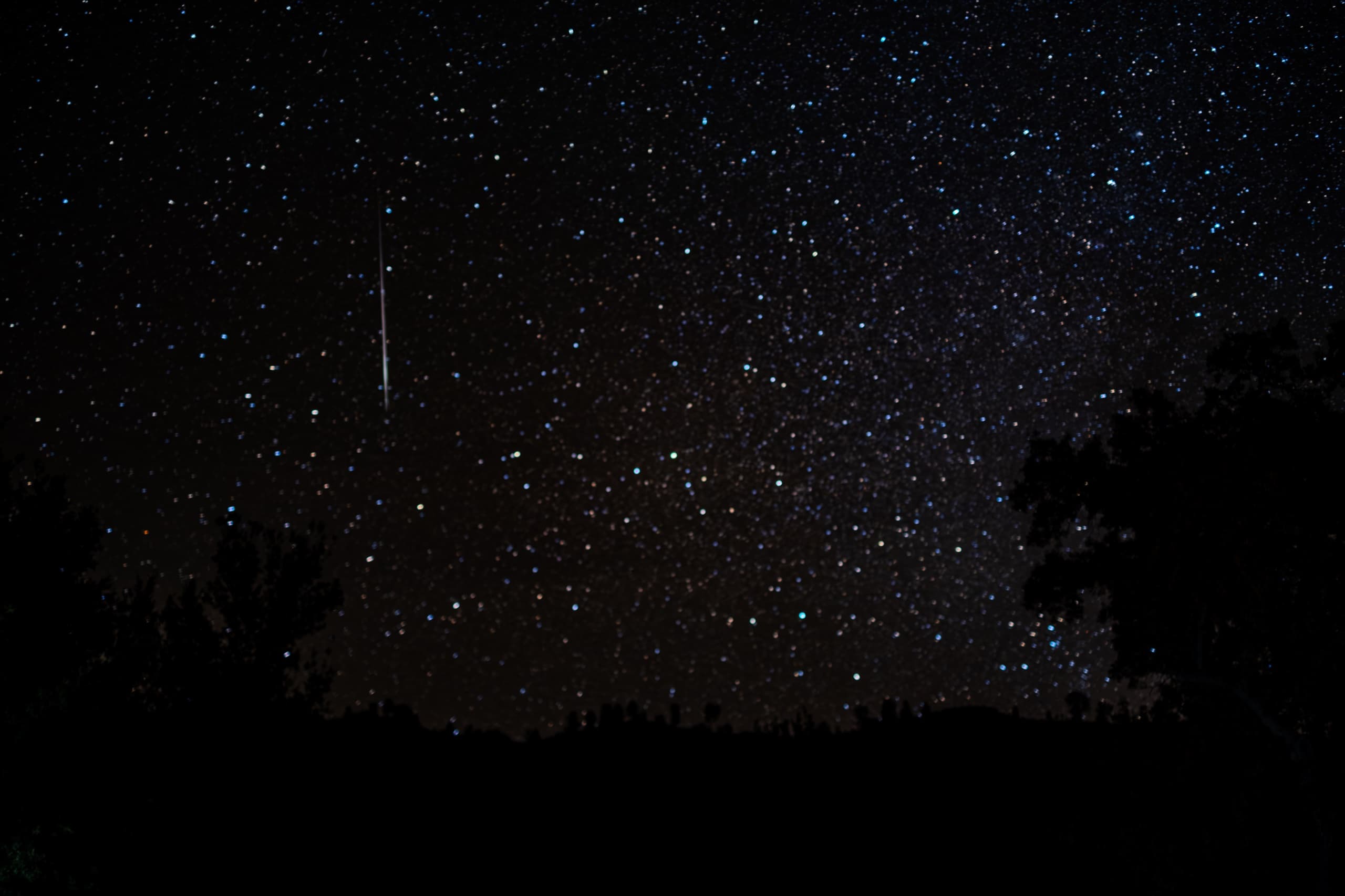 A bright meteor burns straight down through a wall of stars above the oaks, flaring at its head before it fades.