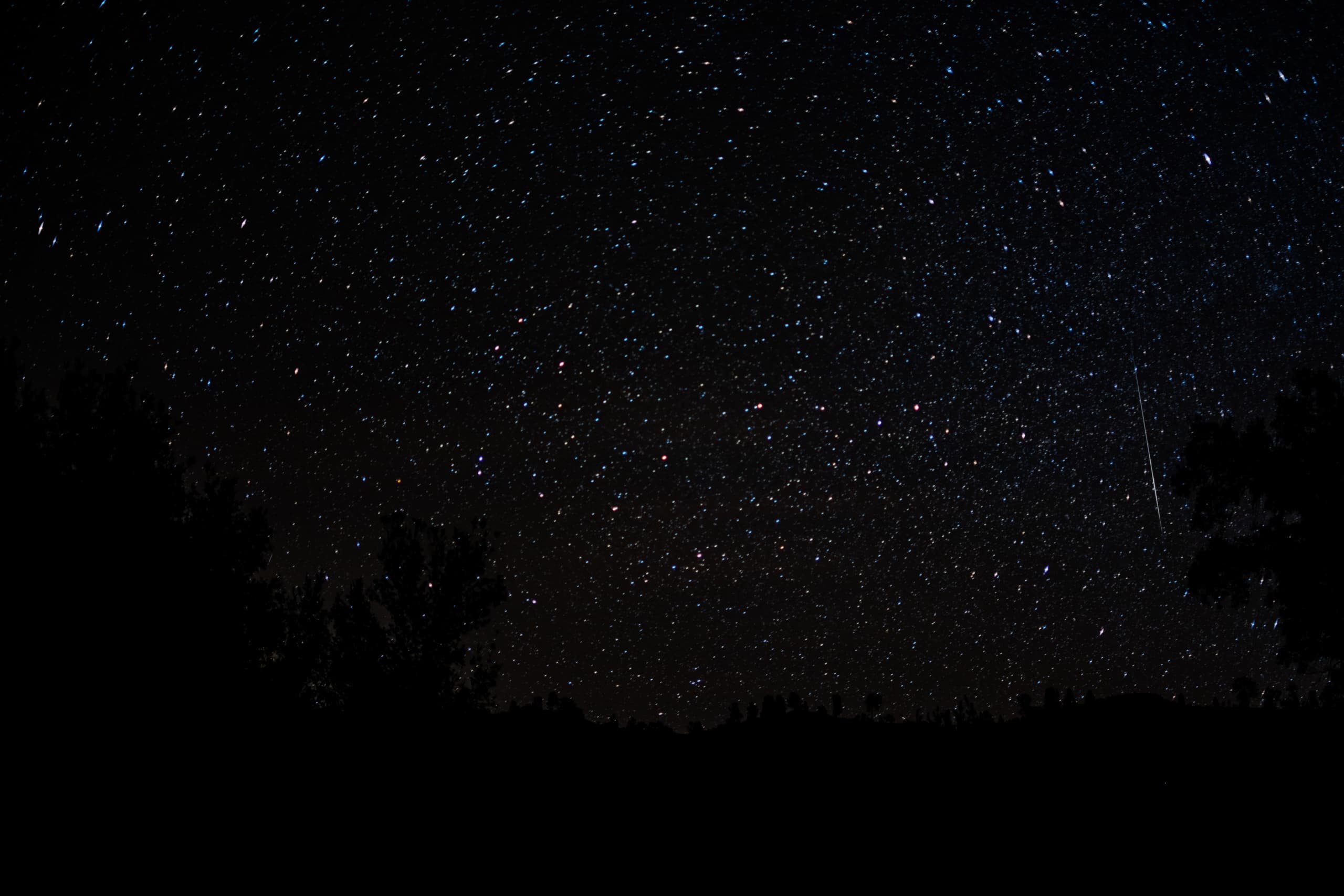 A thin meteor threads between tree silhouettes at the right edge of the frame, the stars showing their reds and blues in the long exposure.
